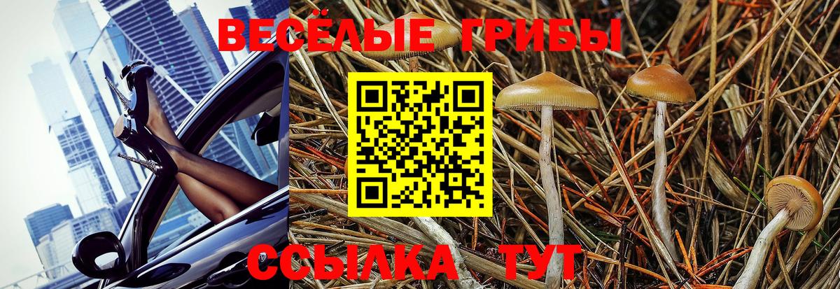 Галлюциногенные грибы MAGIC MUSHROOMS Керчь