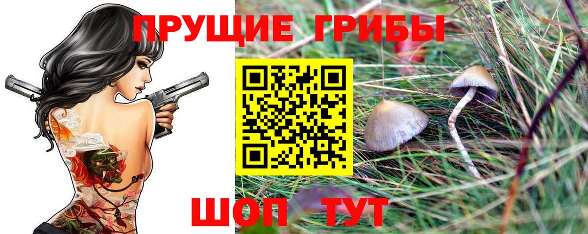 Псилоцибиновые грибы Cubensis  как найти закладки  Псилоцибиновые грибы мухоморы  Керчь  Вход с VPN 